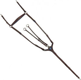 Produktbild von Vorderzeug für Pferde Flags&Cup Paris