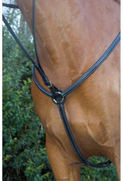 Produktbild von Vorderzeug für Pferde gefüttertT de T