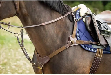 Produktbild von Vorderzeug für Pferde HFI 5 Points