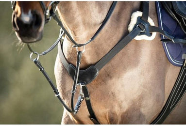 Produktbild von Vorderzeug für Pferde HFI 5 Points