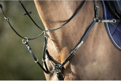 Produktbild von Vorderzeug für Pferde HFI Long Bridge
