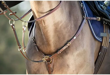 Produktbild von Vorderzeug für Pferde HFI Long Bridge