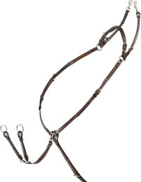 Produktbild von Vorderzeug für Pferde mit abnehmbarem Martingal und Gummizug Equiline