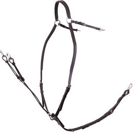 Produktbild von Vorderzeug für Pferde mit Sattelzügeln BR Equitation Rayleigh