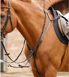 Vorderzeug für Pferde Premier Equine Norbello – Bild 1 von 4