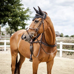 Produktbild von Vorderzeug für Pferde Stübben