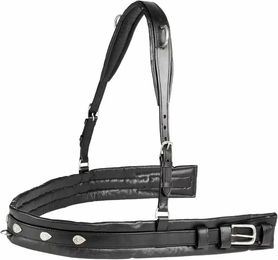 Produktbild von Vorderzeug für Pferde Tattini