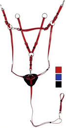 Produktbild von Vorderzeug für Pferde und Martingal Daslö PVC