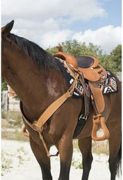 Produktbild von Vorderzeug für Pferde Westride Franck Perret Billy