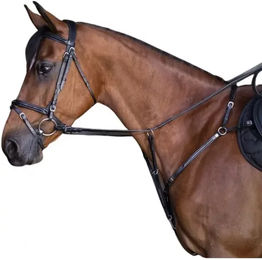 Produktbild von Vorderzeug für Ponys Eric Thomas Hybrid