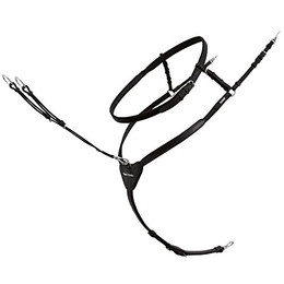 Produktbild von Vorderzeug PA Ingrid Klimke