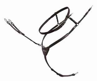 Produktbild von Vorderzeug PA Ingrid Klimke mit Halsring