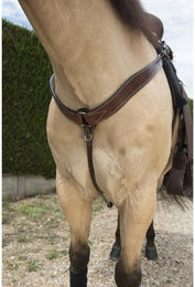 Produktbild von Vorderzeug Randol's Western Westride