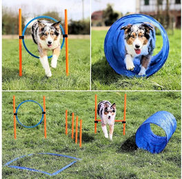 VABIONO Agility Set für kleine und mittelgroße Hunde mit Sprungring, Tunnel, Hürde und Slalom-Stangen in Blau – Bild 1 von 3