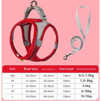 Produktbild von Var Vogue Reflektierendes Hundegeschirr aus Seil für Welpen Größe S 3-6kg