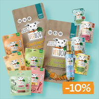 Produktbild von VEGDOG Pionierbox XL Vorteilsbox für erwachsene Hunde vegan ohne tierisches Protein für Haut Fell und Zahnpflege