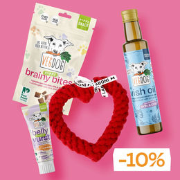 VegDog Vorteilsbox Puppy Allrounder Kit Veganer Funktionssnack für Welpen mit Kauspielzeug – Bild 1 von 1