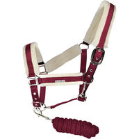 Produktbild von Velda Halfter und Longiergurt Set aus Nylon in Rot für Warmblut Pferde