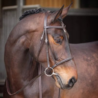 Produktbild von Velociti Gara Erhöhter Kappzaum zum Reiten