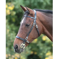 Produktbild von Velociti Gara Inhand Reitgerte einfarbig