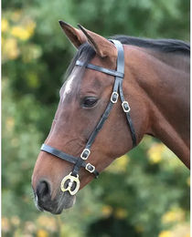 Velociti Gara Inhand Reitgerte einfarbig – Bild 1 von 1