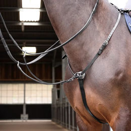 Velociti Gara Jagdhalsband für Pferde – Bild 1 von 1