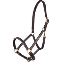 Produktbild von Velociti Gara Pferdehalsband mit Ragley-Lederfutter