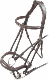 Velociti Rapida Reittrense für Pferde – Bild 1 von 1