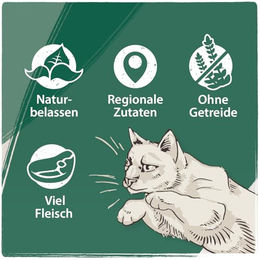 Venandi Katzen Nassfutter Probierpaket Mix Pferd Kalb Truthahn Getreidefrei Monoprotein Sensitive 12 x 125 g - 12 x 125 g – Bild 1 von 4