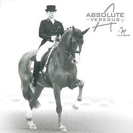 Veredus Dressurgamaschen Absolute Elastic Front aus Neopren Schwarz Größe M – Bild 1 von 2
