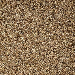 Produktbild von Versele-Laga Hanfsamen Ergänzungsfutter für Wildvögel 20 kg - 20 kg