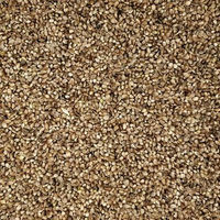 Produktbild von Versele-Laga Hanfsamen Ergänzungsfutter für Wildvögel 20 kg - 20 kg