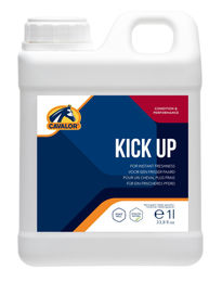 Versele-Laga Kick Up Pferdefutter Ergänzungsfutter für Sport und Leistung 1 Liter - 1000 ml – Bild 1 von 3
