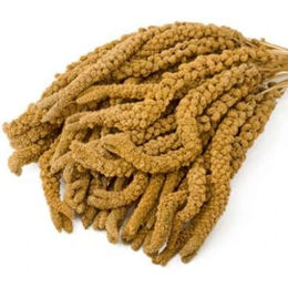Versele-Laga Kolbenhirse China gelb für Vögel 15 kg - 15 kg – Bild 1 von 3