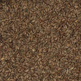 Versele-Laga Leinsamen braun ohne tierisches Protein 25 kg - 25 kg – Bild 1 von 3