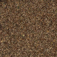 Produktbild von Versele-Laga Leinsamen braun ohne tierisches Protein 25 kg - 25 kg