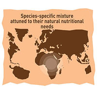 Produktbild von Versele-Laga Loro Parque Afrikanische Sittichmischung Hauptfutter für Großsittiche und Papageien ohne tierisches Protein 20 kg - 20 kg