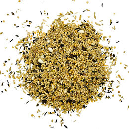 Versele-Laga Neophemen Hauptfutter für Großsittiche 20 kg - 20 kg – Bild 1 von 4
