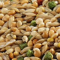 Produktbild von Versele-Laga Prestige Premium Wellensittich Hauptfutter Samenmischung 20 kg - 20 kg