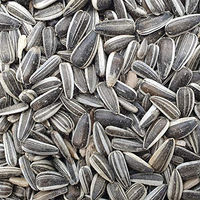 Produktbild von Versele-Laga Sonnenblumenkerne Cleaned Striped Wildvogel Futter ohne tierisches Protein 12800g - 12,5 kg