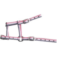 Produktbild von Verstellbares Fohlenhalfter Norton aus Kunststoff in Grau oder Rosa