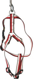 Produktbild von Verstellbares Hundegeschirr ARKA Haok aus Nylon in Rot 40-63/100 cm