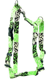 Produktbild von Verstellbares Hundegeschirr ARKA Haok in Grün aus Polyester 46-68 cm