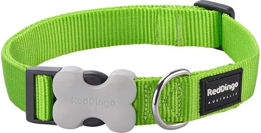 Produktbild von Verstellbares Hundehalsband Red Dingo aus Nylon in Grün für erwachsene Hunde