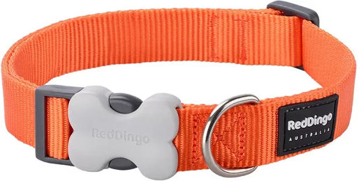 Produktbild von Verstellbares Hundehalsband Red Dingo aus Nylon in Orange für erwachsene Hunde