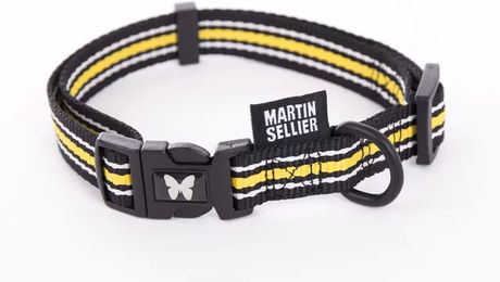 Produktbild von Verstellbares Hundehalsband Trio Martin Sellier aus Nylon in Größe L