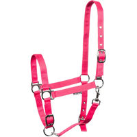 Produktbild von Verstellbares Nylon-Halfter für Pferde Harry's Horse in Rosa für Vollblut
