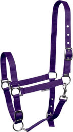 Produktbild von Verstellbares Nylon-Halfter Harry's Horse für Pferde in Lila