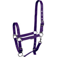 Produktbild von Verstellbares Nylon-Halfter Harry's Horse für Pferde in Lila