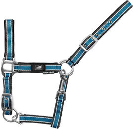 Verstellbares Nylon Halfter Supreme für Fohlen in Blau – Bild 1 von 1